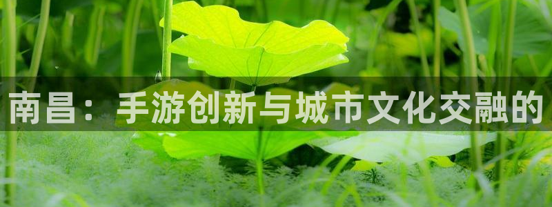 庄闲几率：南昌：手游创新与城市文化交融的