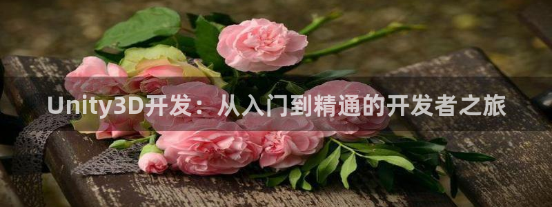 庄闲最稳：Unity3D开发：从入门到精通的开发者之旅