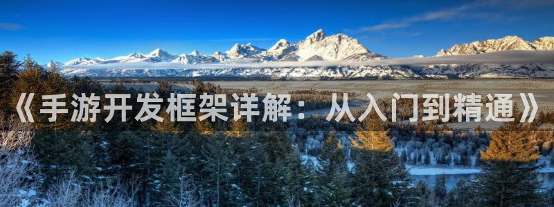 庄闲是什么颜色：《手游开发框架详解：从入门到精通》
