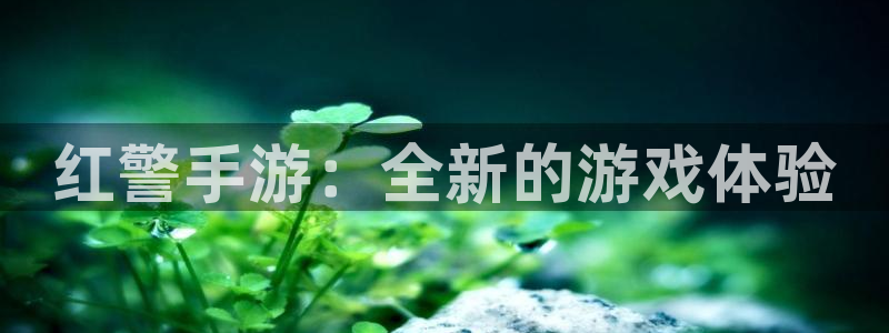 庄闲游戏规则：红警手游：全新的游戏体验