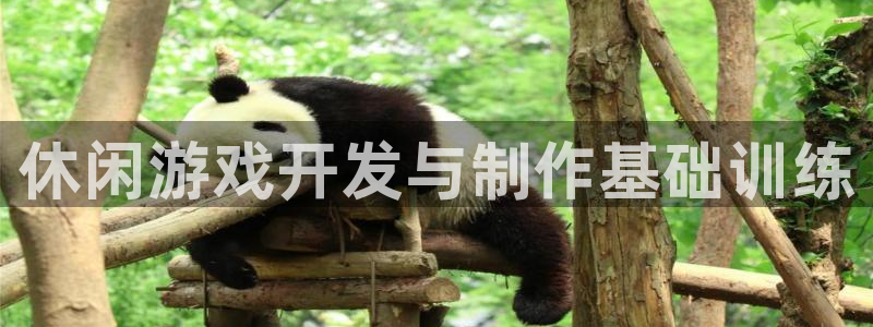 庄闲最稳公式打视频