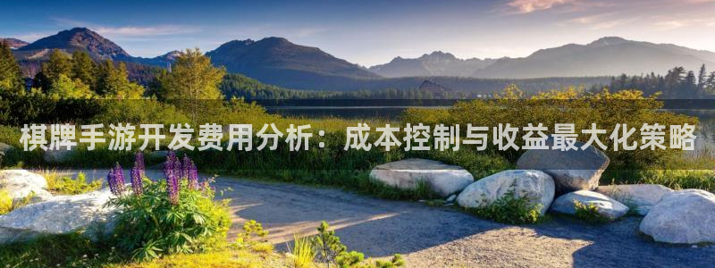 庄闲输赢比例：棋牌手游开发费用分析：成本控制与收益最大化策略