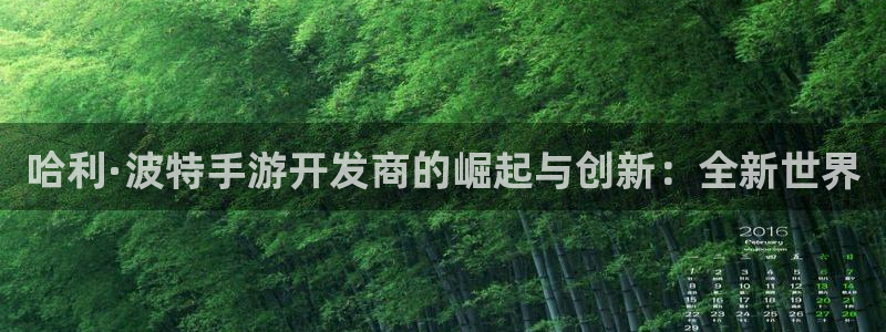 庄闲游戏app安卓版：哈利·波特手游开发商的崛起与创新：全新