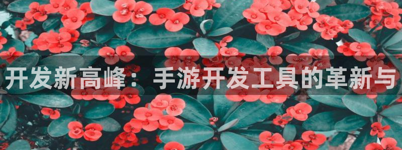 庄闲的规则：开发新高峰：手游开发工具的革新与