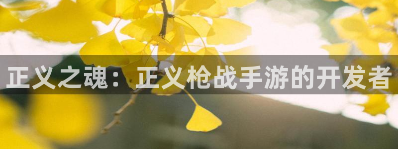 庄闲叫什么游戏：正义之魂：正义枪战手游的开发者