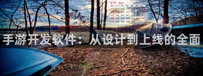 庄闲游戏下载：手游开发软件：从设计到上线的全面