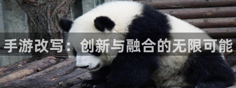 庄闲和游戏规则详解：手游改写：创新与融合的无限可能