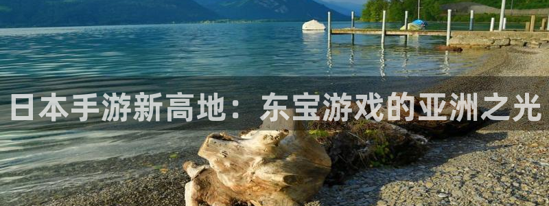 庄闲游戏优惠：日本手游新高地：东宝游戏的亚洲之光