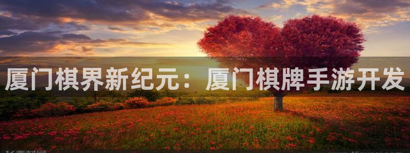 庄闲和怎么玩才能不输：厦门棋界新纪元：厦门棋牌手游开发