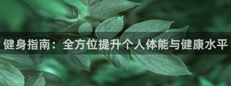 ug环球官网登录入口：健身指南：全方位提升个人体能与健康水平
