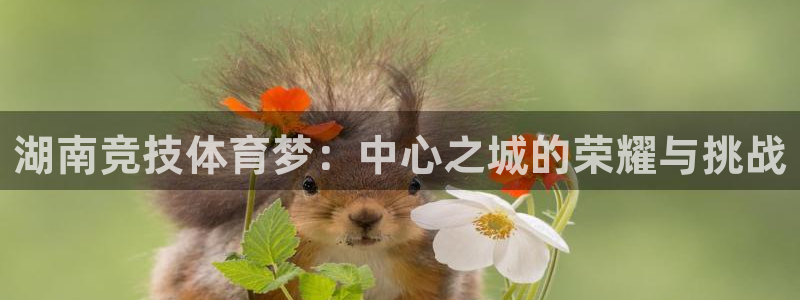 ug环球官网：湖南竞技体育梦：中心之城的荣耀与挑战