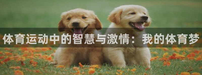 ug环球官网登录入口：体育运动中的智慧与激情：我的体育梦